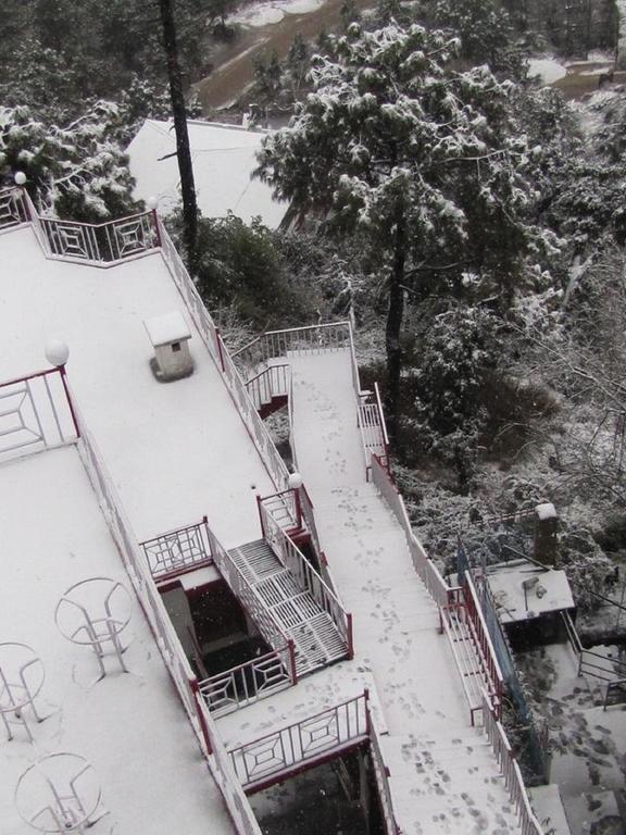 Hotel Deodar Villa دارامشالا المظهر الخارجي الصورة